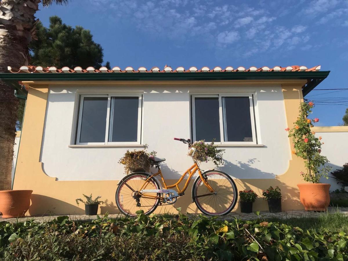 Vida-Vi, Country House And B&B Carvalhal Bemfeito Exterior photo