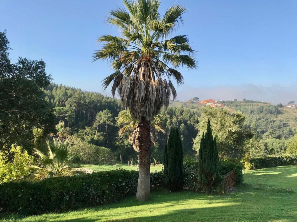 Vida-Vi, Country House And B&B Carvalhal Bemfeito Exterior photo