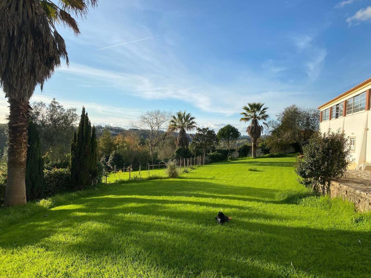 Vida-Vi, Country House And B&B Carvalhal Bemfeito Exterior photo