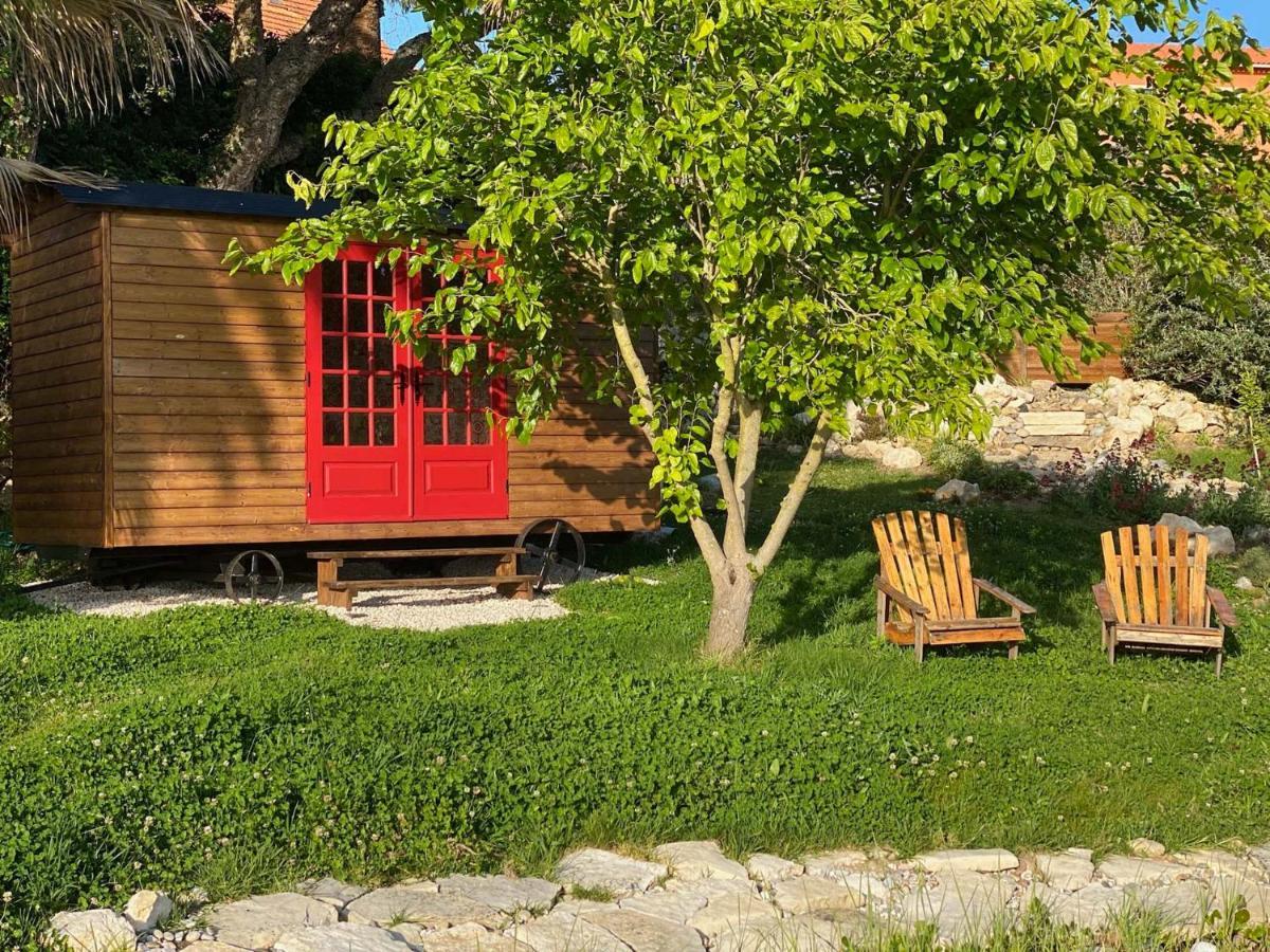 Vida-Vi, Country House And B&B Carvalhal Bemfeito Exterior photo